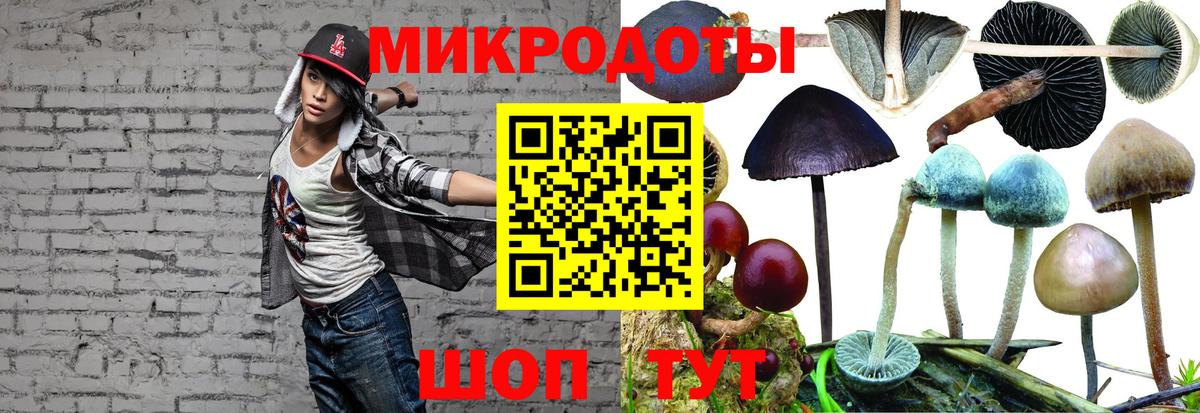 Галлюциногенные грибы Cubensis Нягань